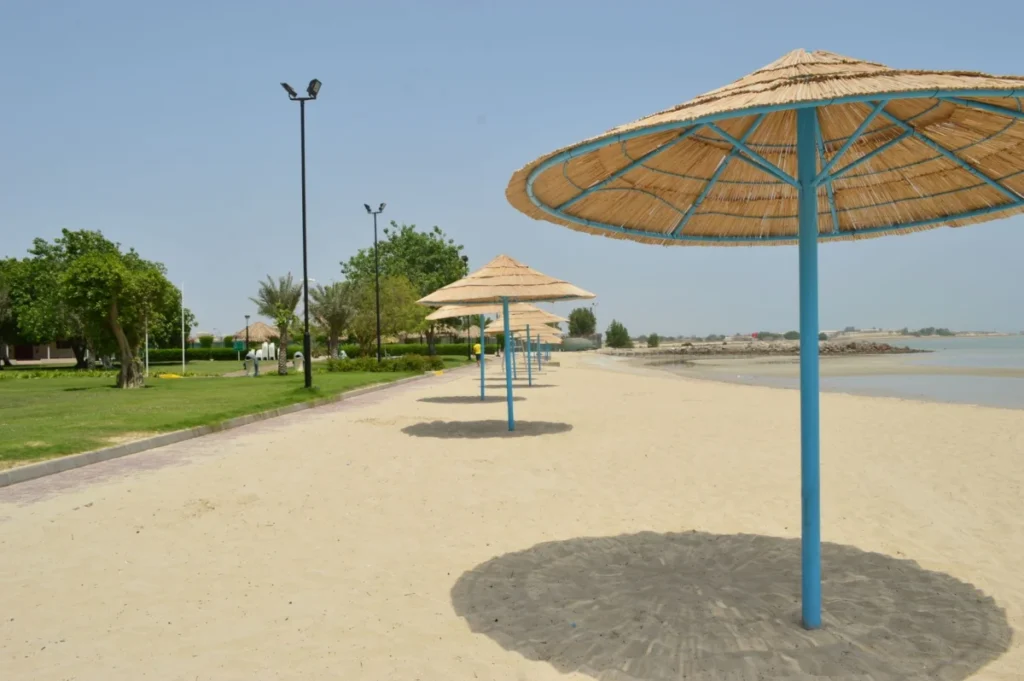 Al Mirfa