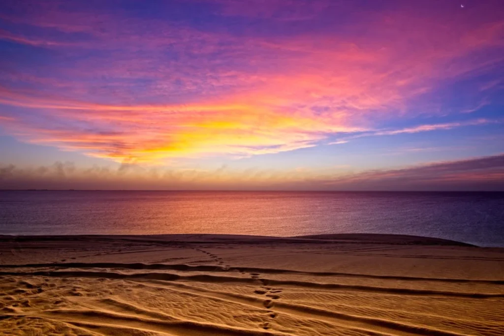 Al Wakrah