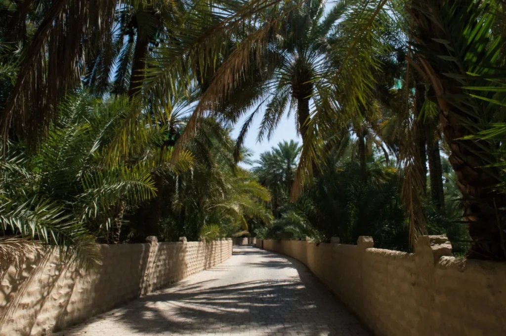 Al Zahiyah