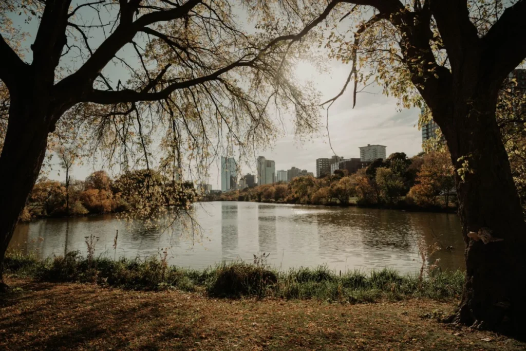 Albert Park