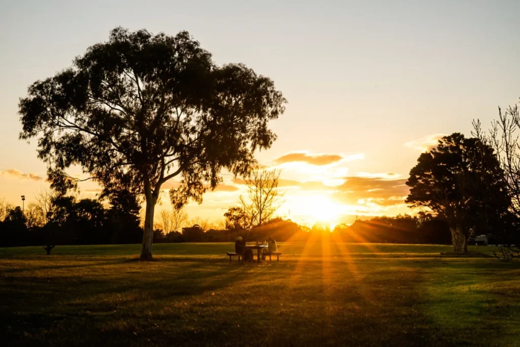 Albert Park