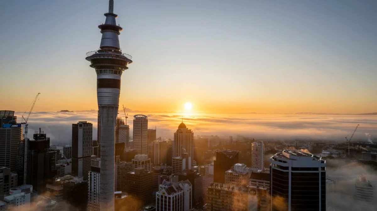 Romantic view of Auckland skyline from harbor