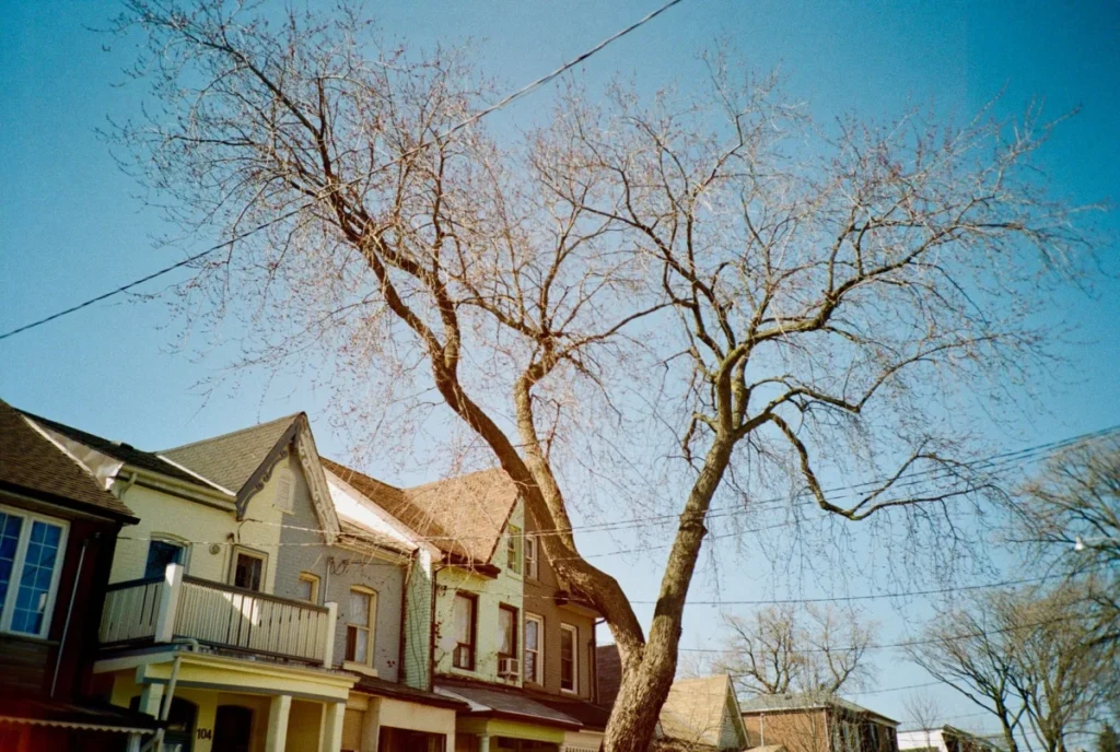 Baldwin Village