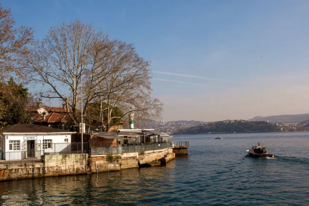 Bebek