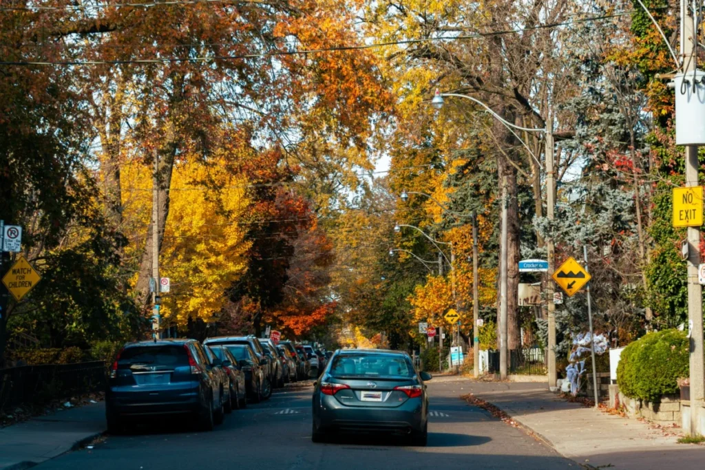 Bloordale Village
