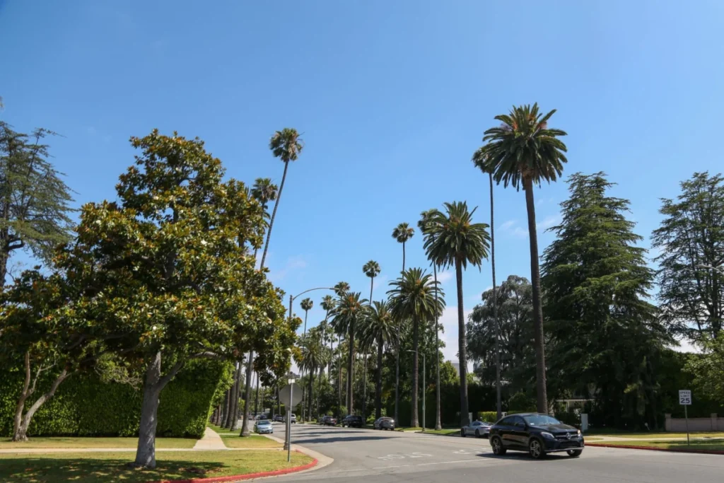 Brentwood
