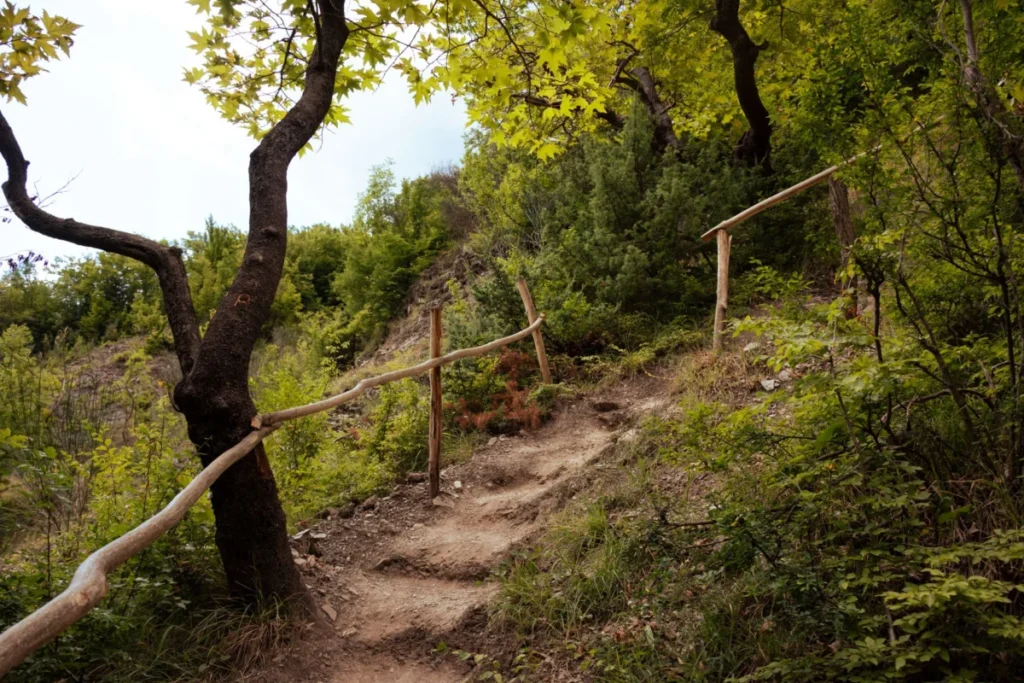 Buda Hills (Buda)