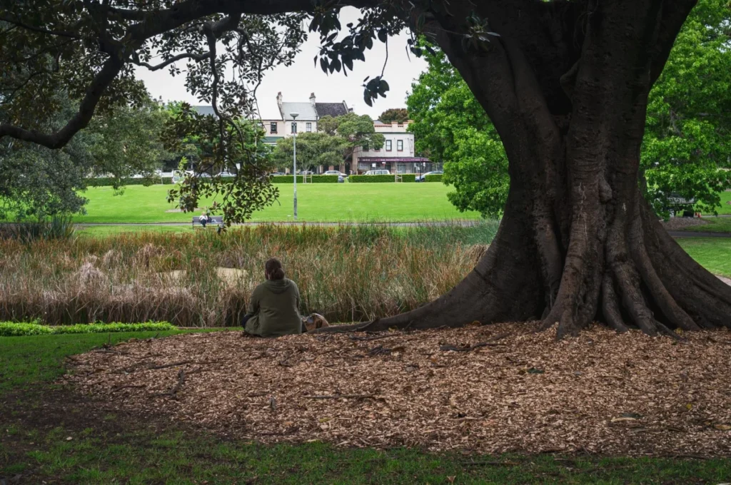 Camperdown