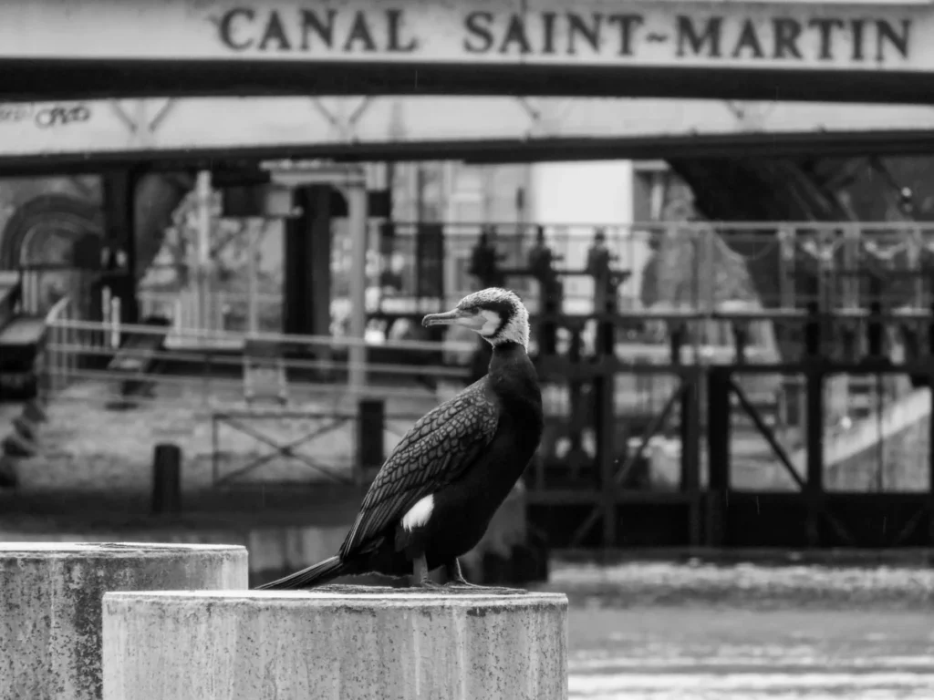 Canal Saint-Martin