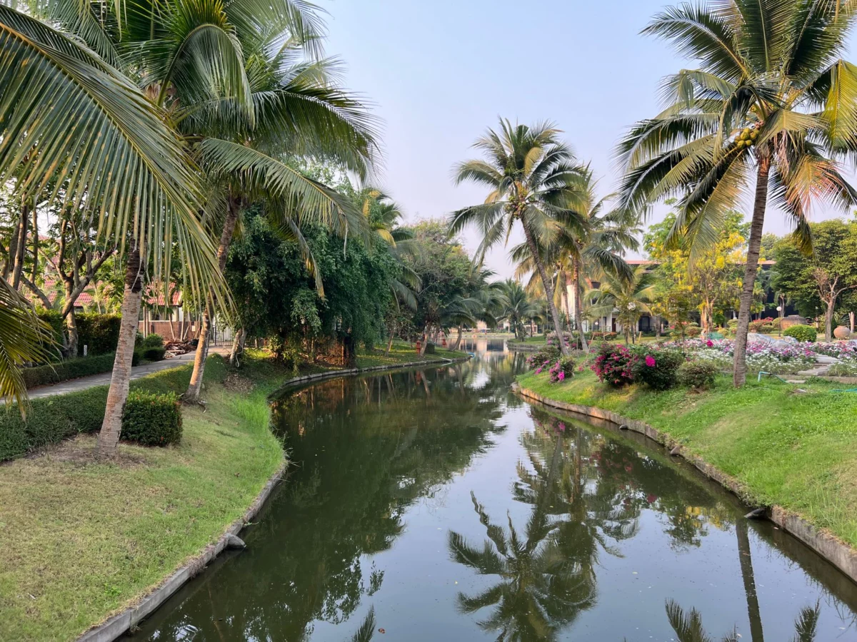 Panoramic view of Chiang Mai at sunset highlighting scenic riverside