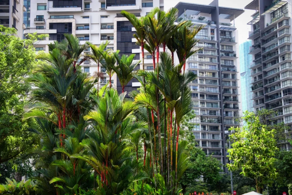 Desa Park City