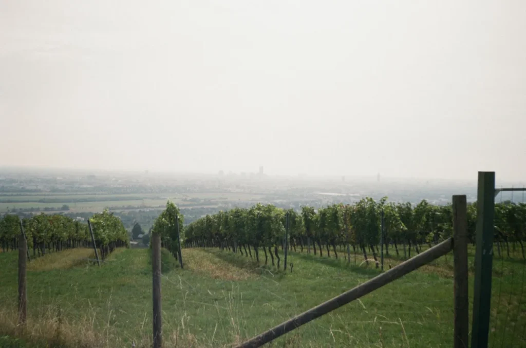 Döbling