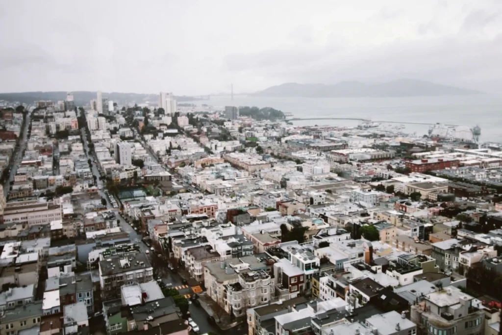 Dogpatch