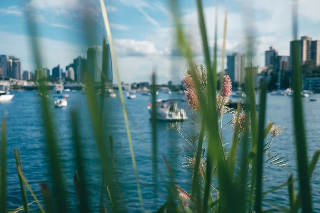 Elizabeth Bay