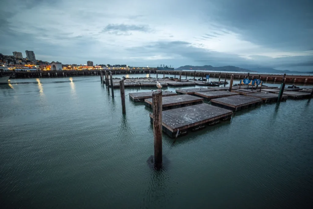 Fisherman's Wharf