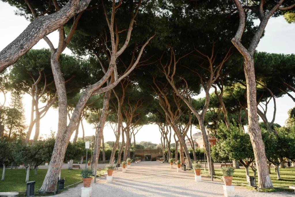 Flaminio
