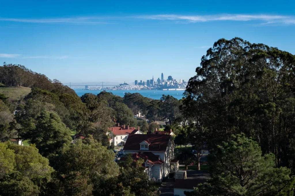 Forest Hill
