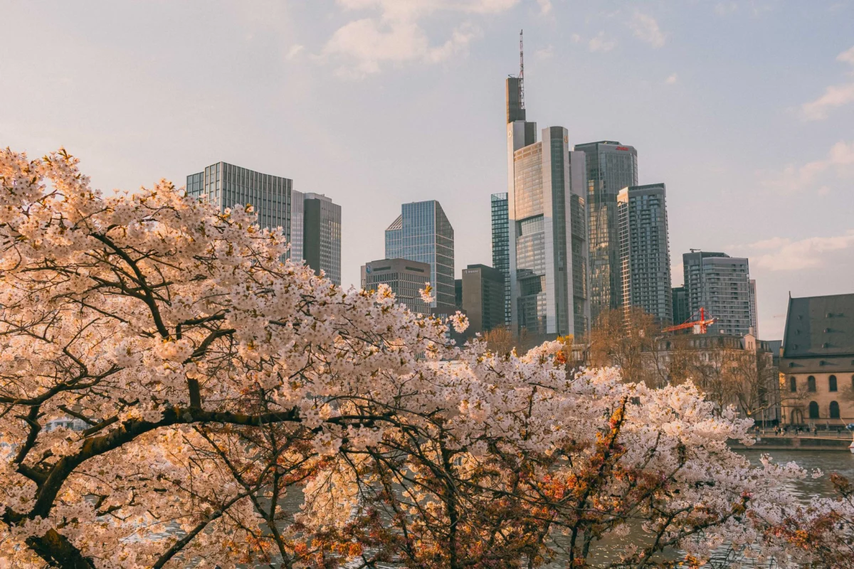 Romantic view of Frankfurt skyline at dusk with landmarks