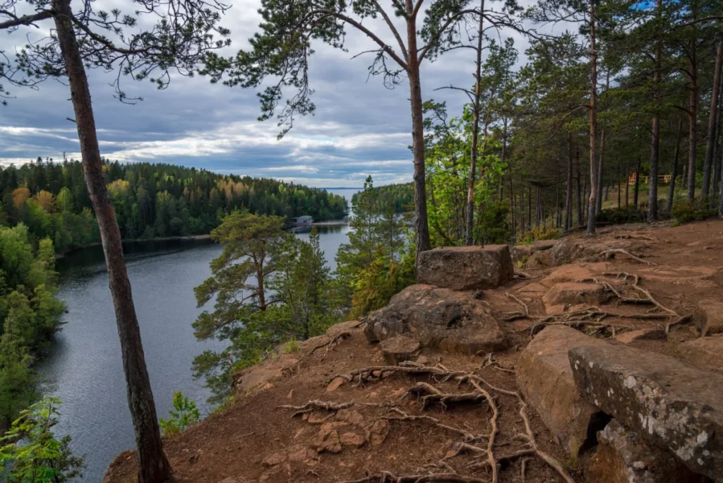 Halinen