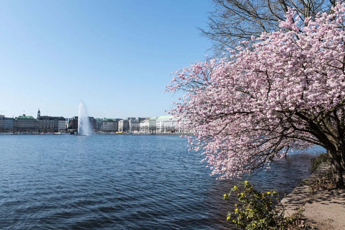 A panoramic view of Hamburg's modern skyline at sunset