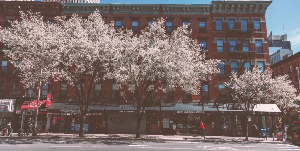 Harlem