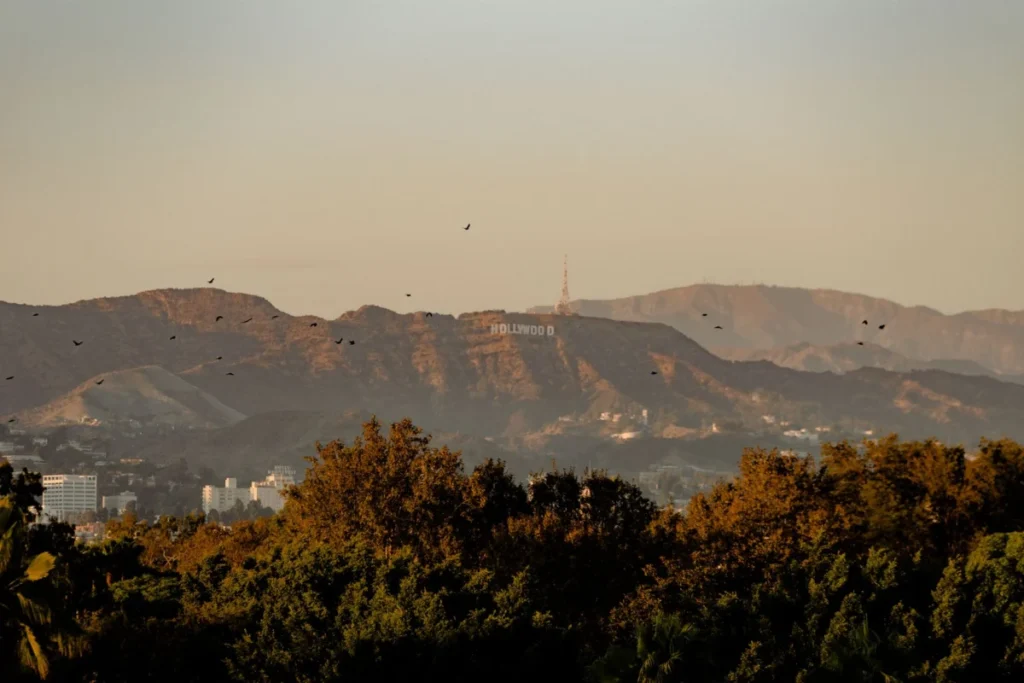 Hollywood Hills