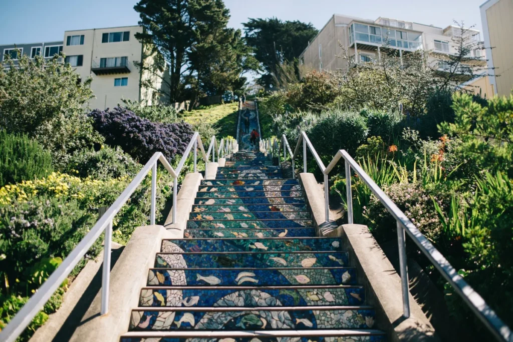 Inner Sunset