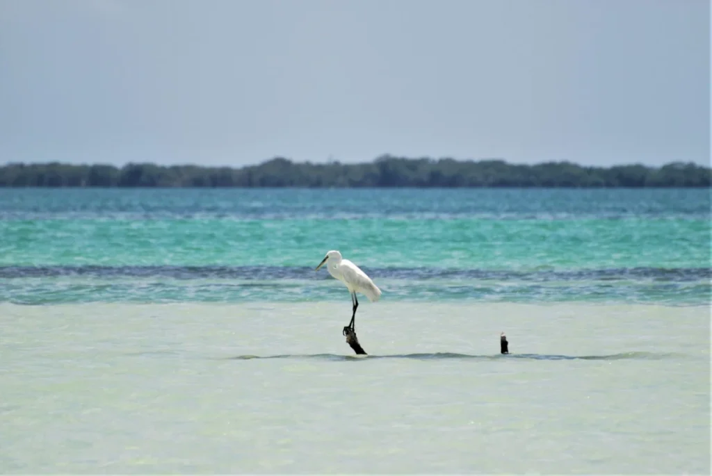 Isla Blanca