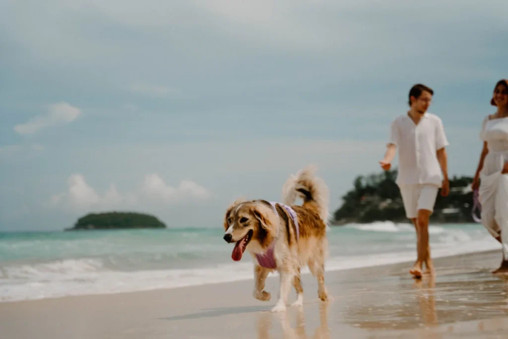 Kata Beach (หาดกะตะ)