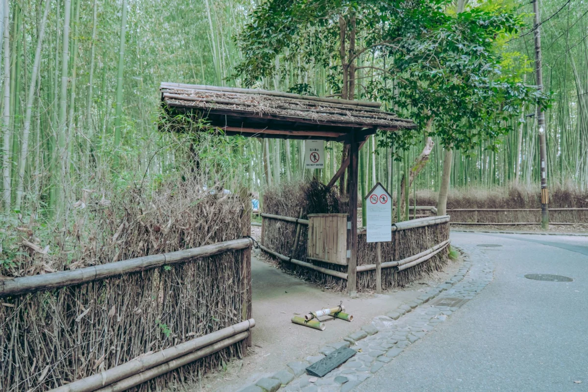Scenic view of the Kyoto Arashiyama bamboo grove