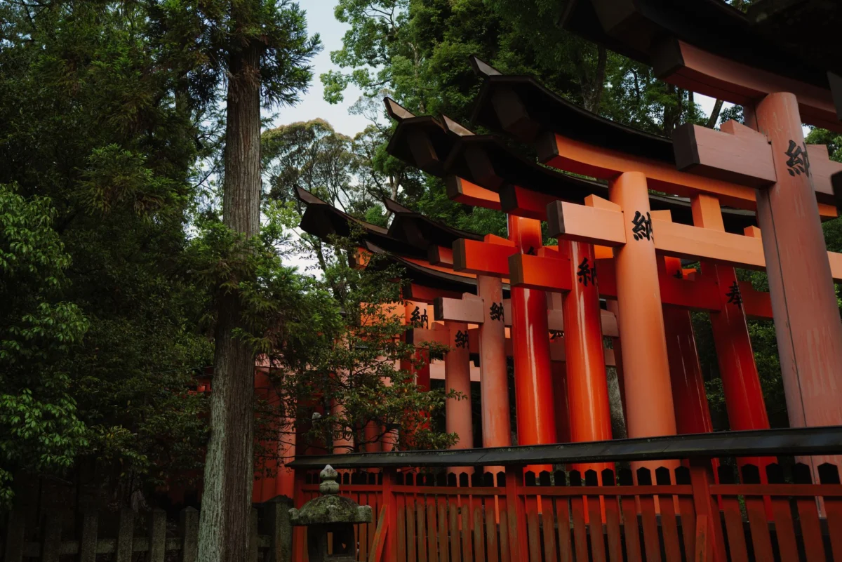 Serene Kyoto shrine gardens ideal for quiet retreats