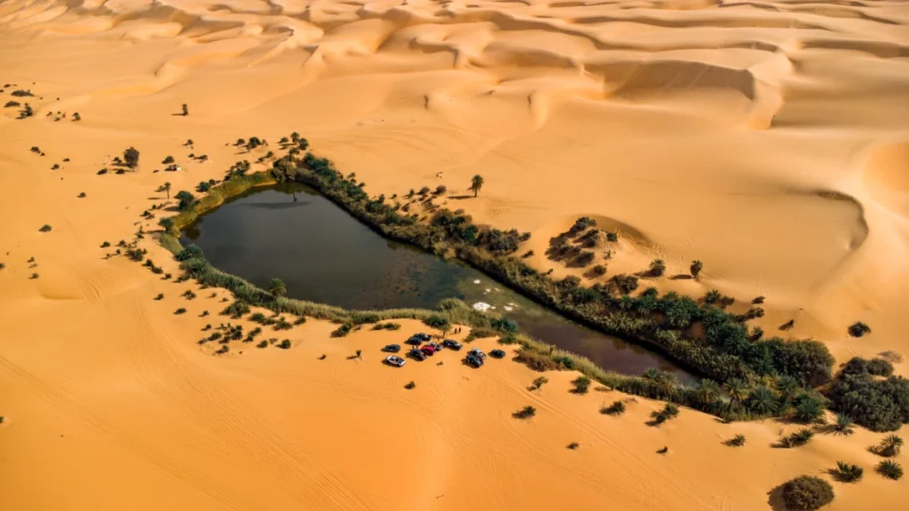 Liwa Oasis