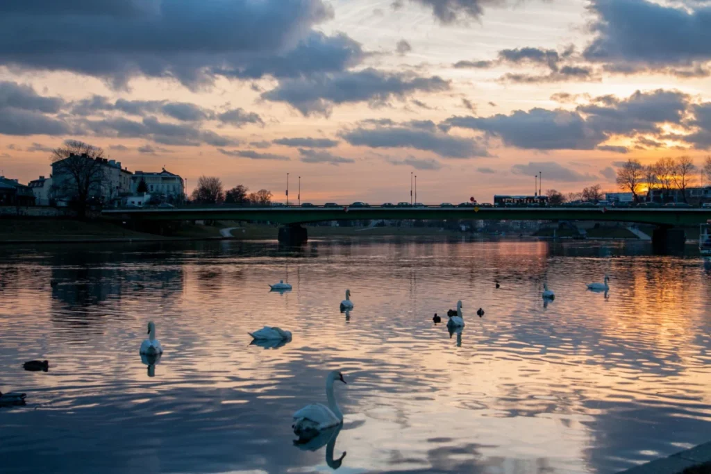 Ludwinow