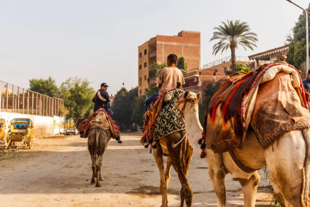 Maadi