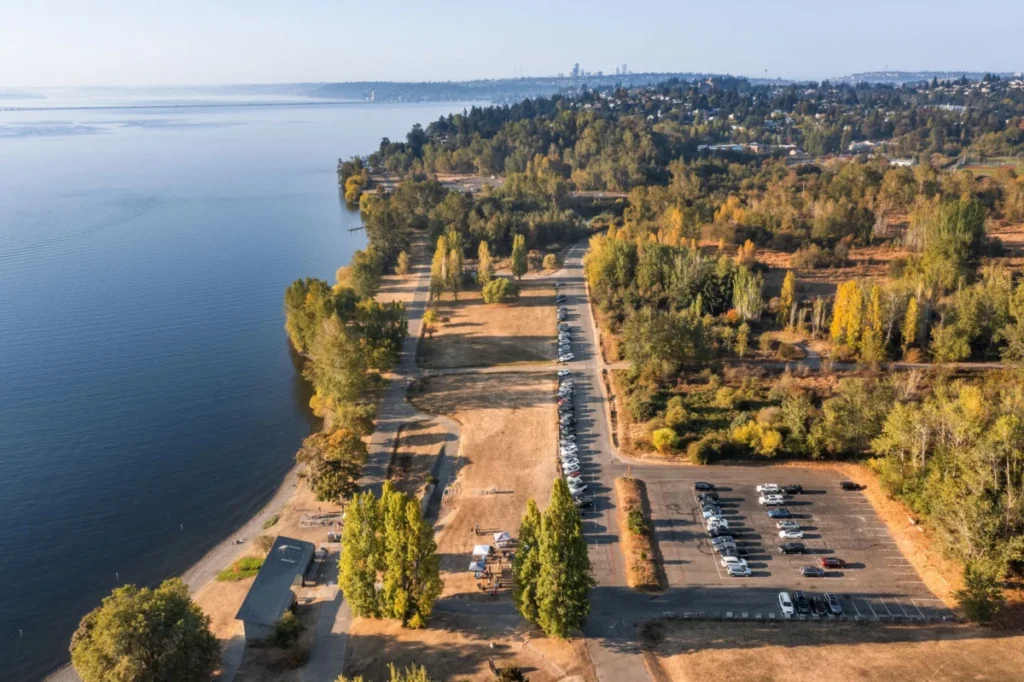 Madrona