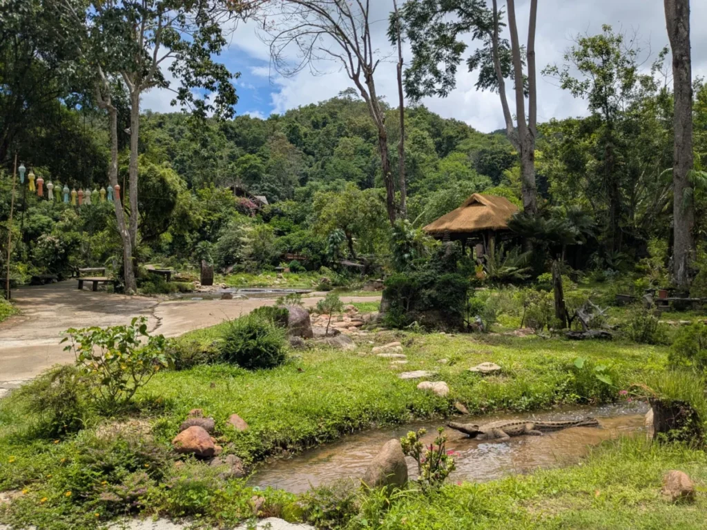 Mae Rim