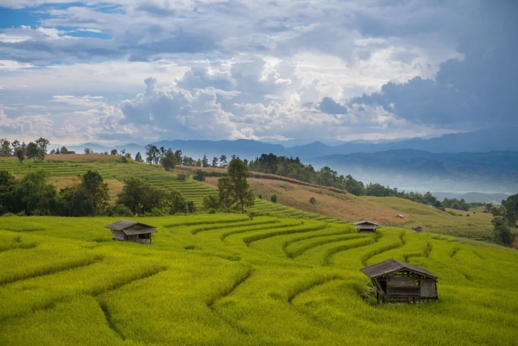 Mae Rim