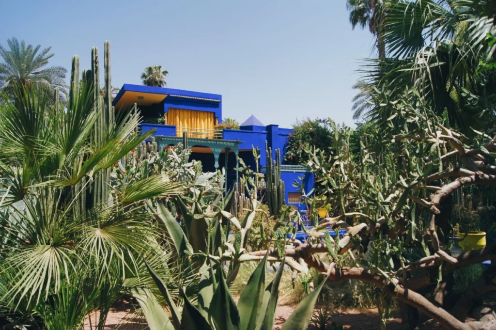 Majorelle