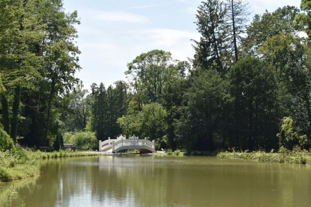 Maksimir