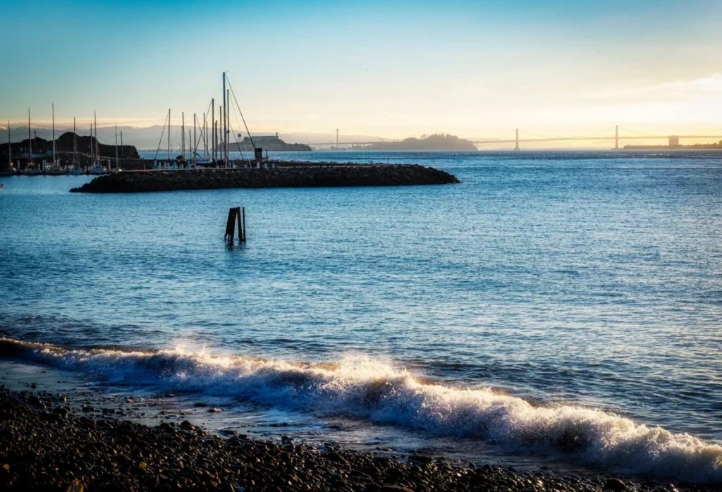 The Marina
