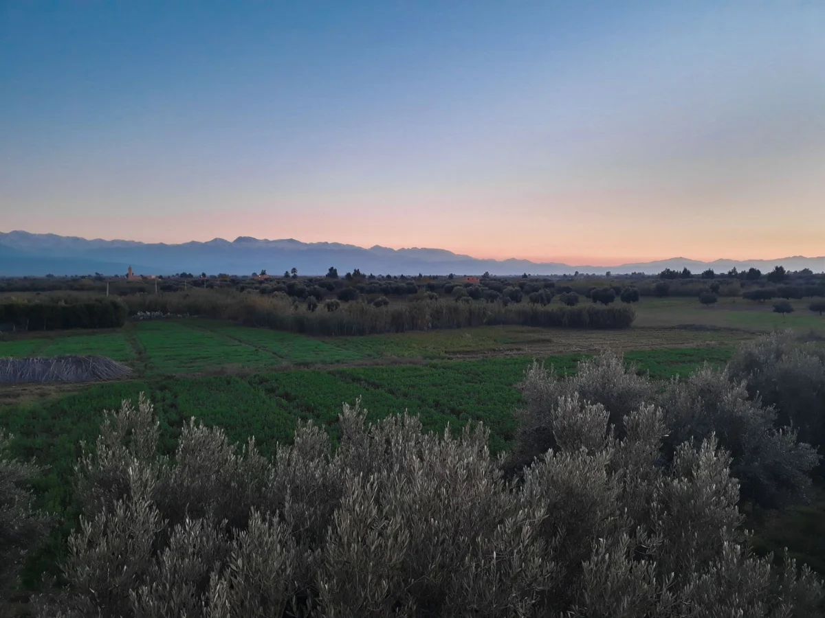 Breathtaking view of Marrakech skyline at sunset