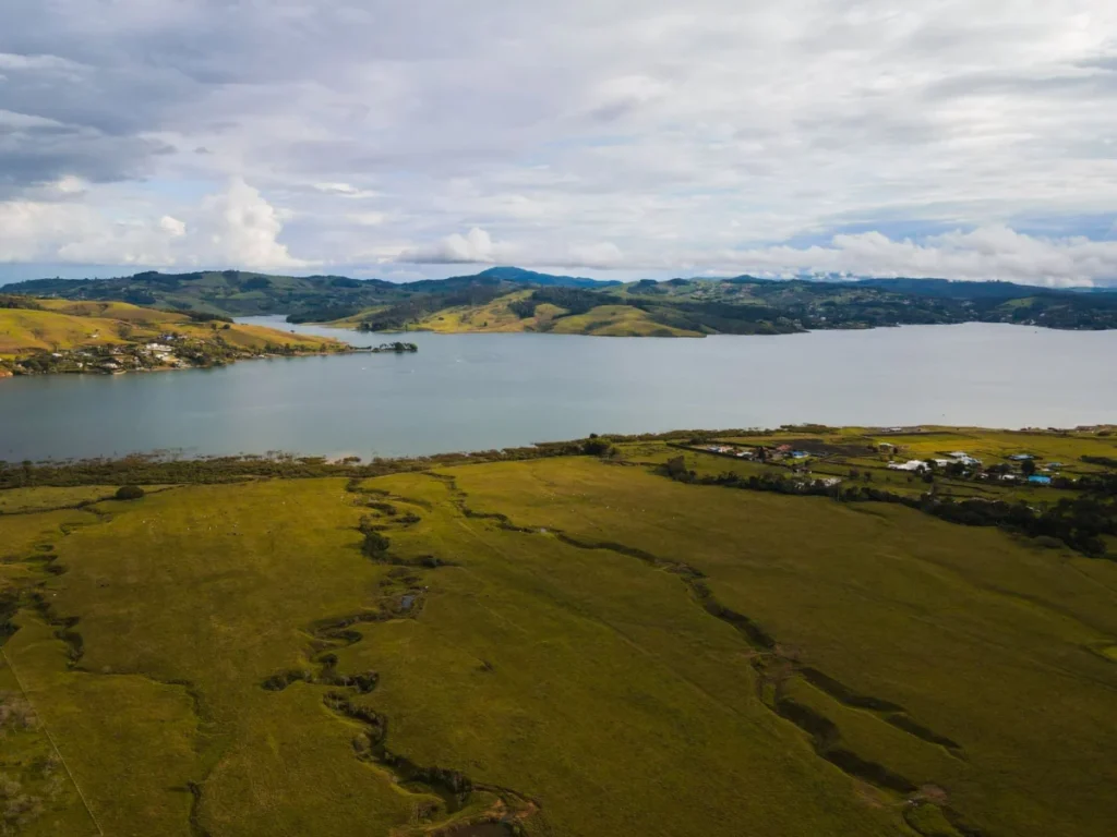 Matakana