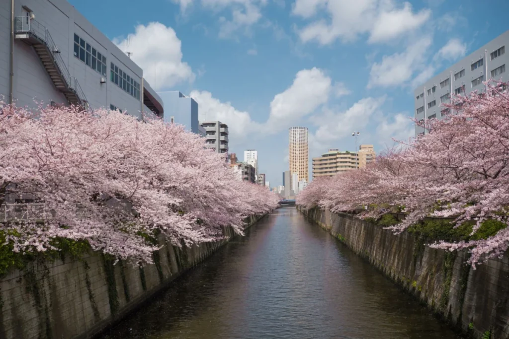 Meguro