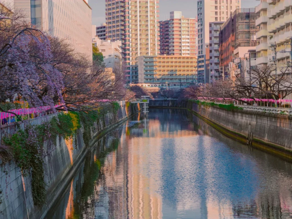 Meguro (目黒)