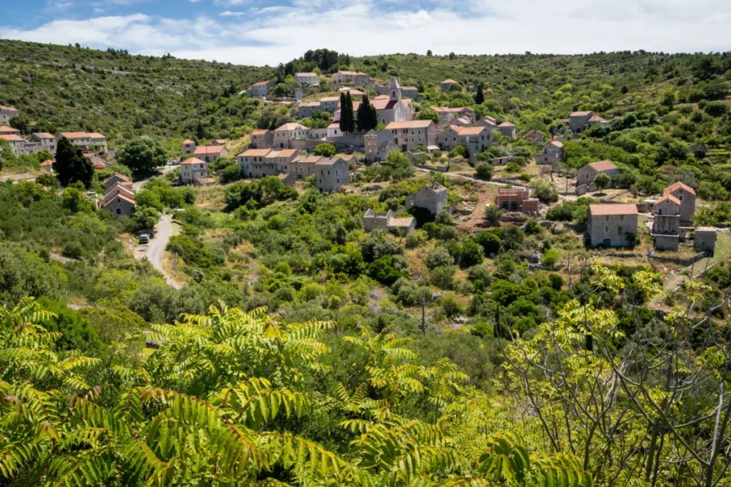 Mlini