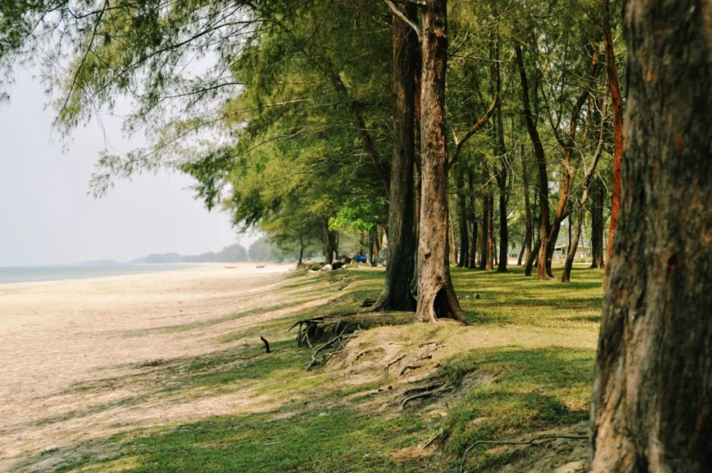 Nai Yang Beach