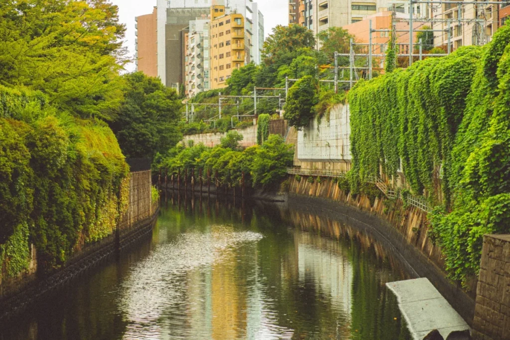 Nakameguro (中目黒)