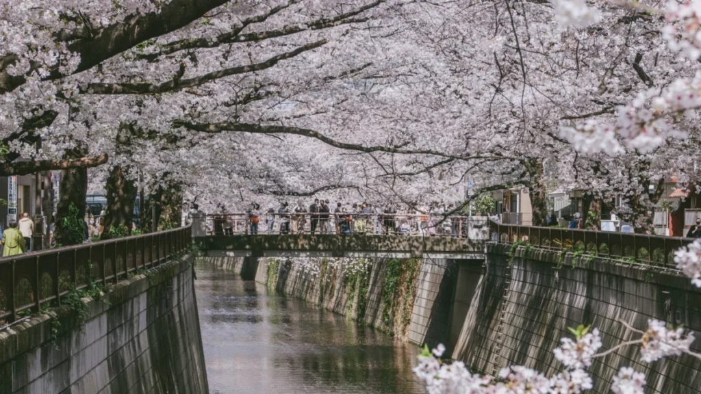 Nakameguro (中目黒)