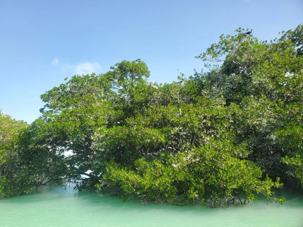 Nichupté Lagoon