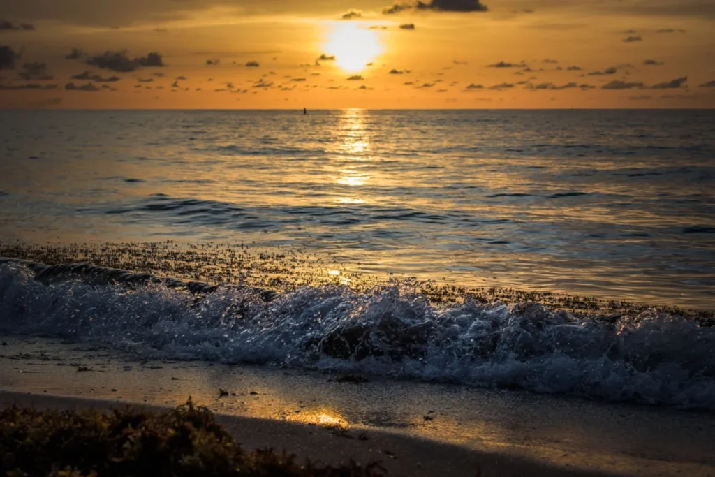 North Beach (Miami Beach)
